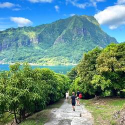Sur la route de la montagne magique