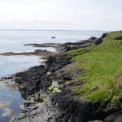 Hier auf den Klippen Staffas fühlen sich die Puffins wohl und sicher