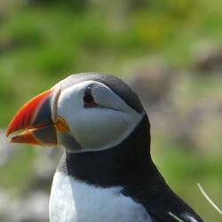 okay, das ist jetzt der Letzte, versprochen