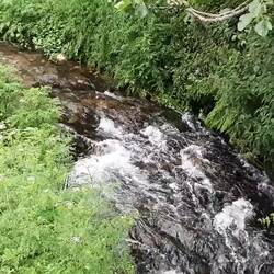 Trying out the slow motion option