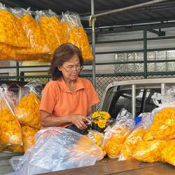 Marigolds for offerings