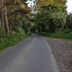 The road goes ever on and on..