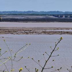 Navigation towers on the 'Hen and chickens' rocks at low water North of the M4 bridge