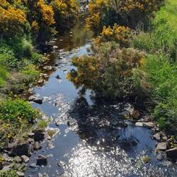 Ein Träumchen....🙂👌