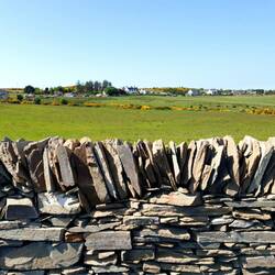 Wir lieben Steinmauern 🙈🙈🙈