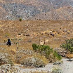 Leaving the highway for the San Bernadino mountains