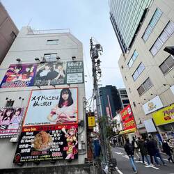 Welcome to Akiba!