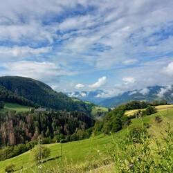 Am Morgen danach 🤣