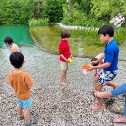 working on the tadpole habitats