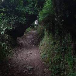 Just managed to squeeze through