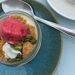 Raspberry Sorbet Cheese Cake