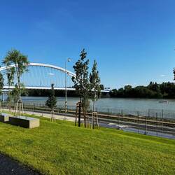 Bridge over the Danube