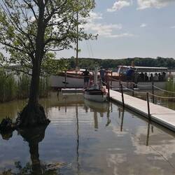 Eine Rundfahrten in einem Dampfschiff (oder - Boot) wurde auch angeboten.