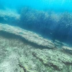 Ausser einigen kleinen Schwärmen an Meeresbrassen ist nicht viel zu sehen unter Wasser