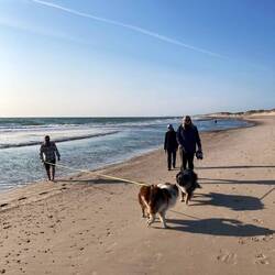 Superschöner Strand