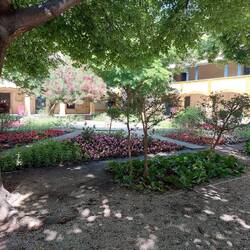 Van Gogh site - Le Jardin de la Maison de Santé a Arles