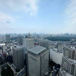 Aussicht von weit oben über Tokio