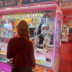 Wenn keine echte Katze mit uns reisen will, dann muss es halt ein Plüschkätzchen sein 😉