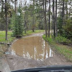 Nur ein Schlammloch von vielen..