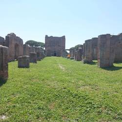 Cardonald Maximus to Forum