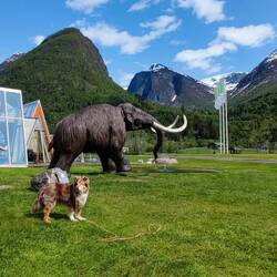 Nila glaubt sie ist in der Zeit zurück gereist