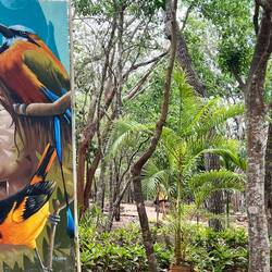 Der ecotouristische Park Xcotepec 🧚🏻‍♀️🦎🍃