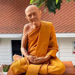 Realistic looking monk