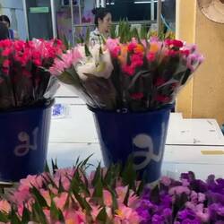 VIDEO - more about flowers in the next posting