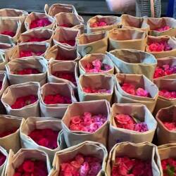 VIDEO - more about flowers in the next posting