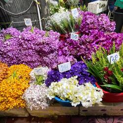 FLOWERS EVERYWHERE - it is about $35 "bhat" to $1