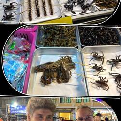 Karen said this bug tasted like peanut butter - I will take her word for it