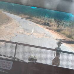 The road quality is pretty awful; our driver is constantly slowing to navigate potholes