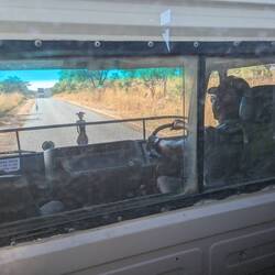 The view for our driver, Harmony