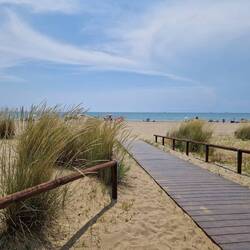 Erst mal den Strand gucken...