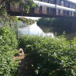 Very poor access to the canalside.