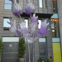 Auch die Distel darf in Schottland nicht fehlen (vor dem Market Street Hotel)