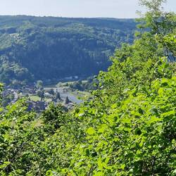 First glimpse of Tintern Abbey