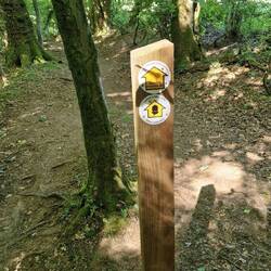 Offa's Dyke is excellently waymarked using this acorn symbol
