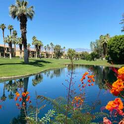 Wish another golfer had been with me...beautiful course laid out amongst the villas