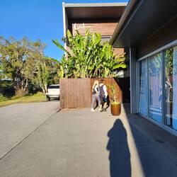 Creature yoga, my daily yoga 🧘‍♀️