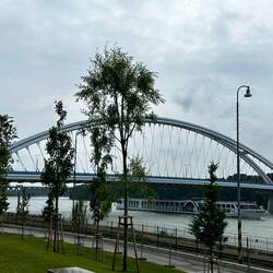 My Favorite Bridge across the Danube
