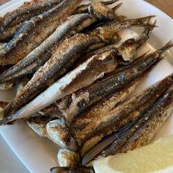 Grilled Sardines