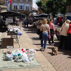 Market day in Sahagun