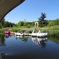 dieser Steg ist voll belegt von speziellen Tierchen...