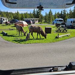 Morgens vor dem Schlafzimmerfenster..