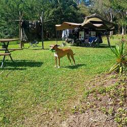 Drying everything - wedding arbor very useful!