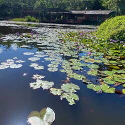 Obsessed with how peaceful this was