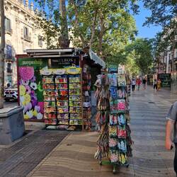 Auf den Ramblas werden sogar Blumensamen verkauft