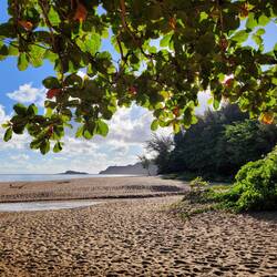 ... aber grad vil Lüüt nehmed ihn wohl doch nöd. 😎
