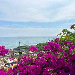 View from our apartment